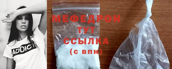 индика Новозыбков