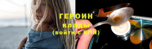 индика Новозыбков