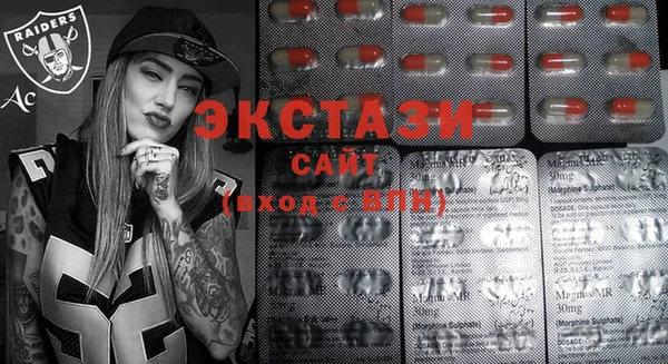 индика Новозыбков