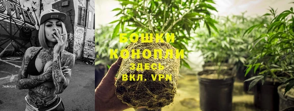 мдпв Нягань