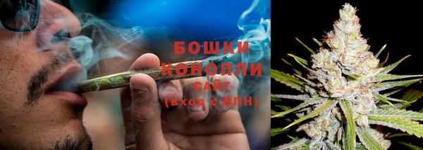 крисы Новокубанск