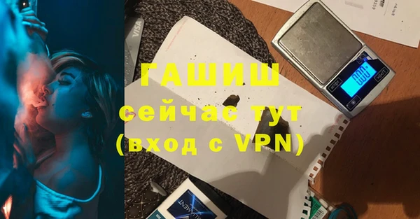 индика Новозыбков