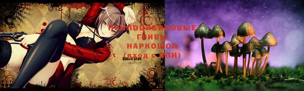 крисы Новокубанск