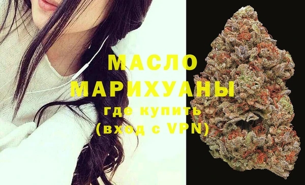индика Новозыбков