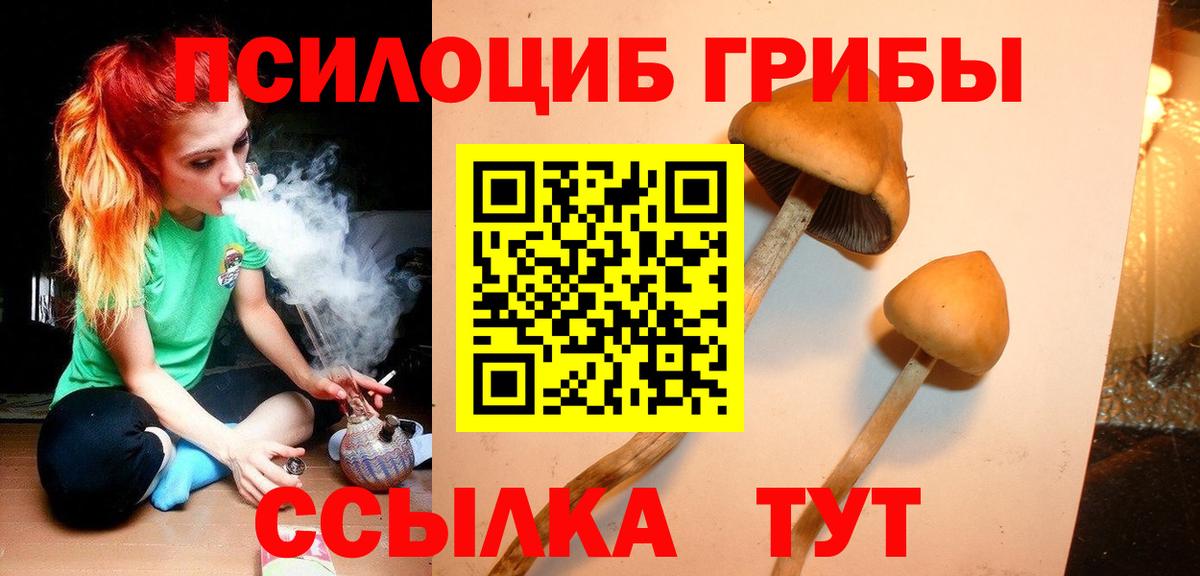 Галлюциногенные грибы мухоморы  Псилоцибиновые грибы мицелий  Волжский  Вход с VPN 