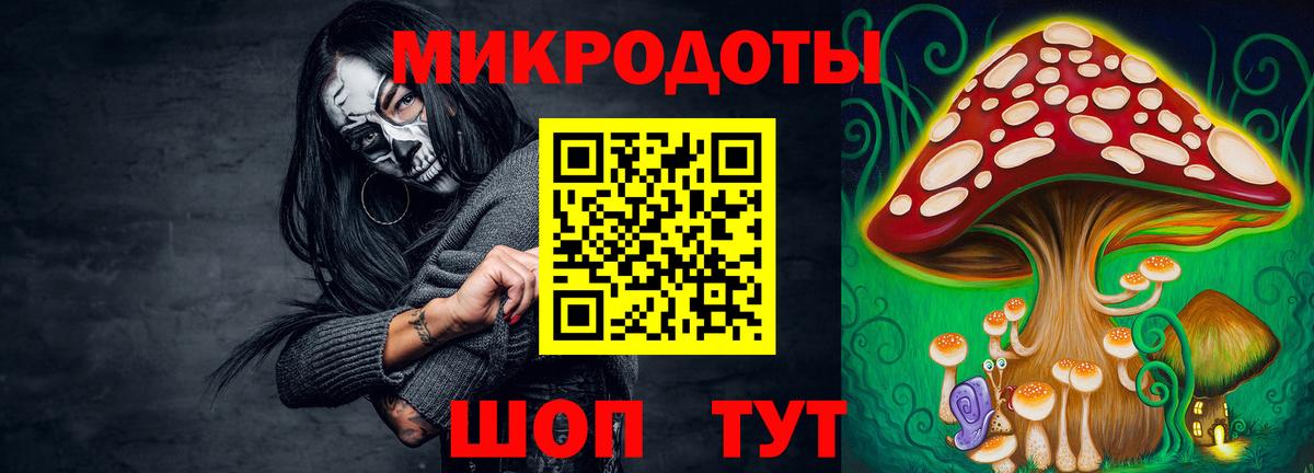 Псилоцибиновые грибы Psilocybe  Волжский  Псилоцибиновые грибы MAGIC MUSHROOMS 