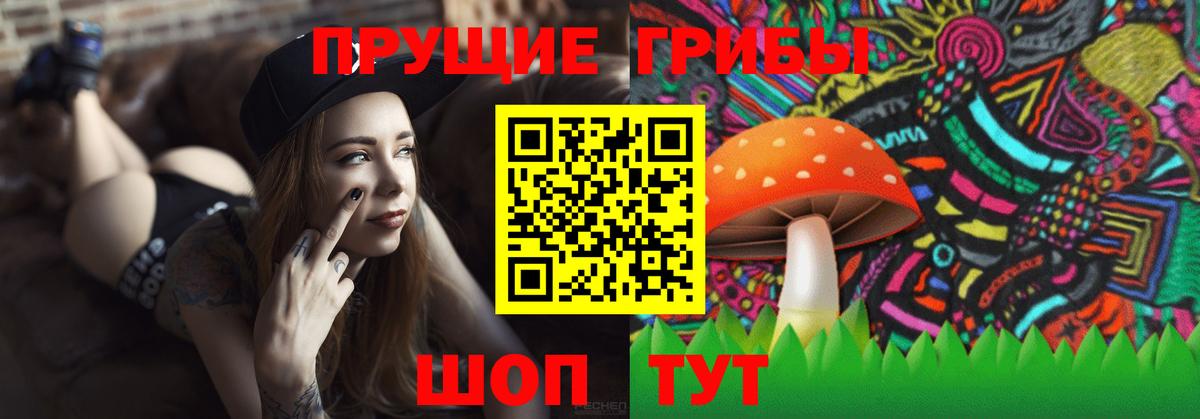 Галлюциногенные грибы GOLDEN TEACHER Волжский